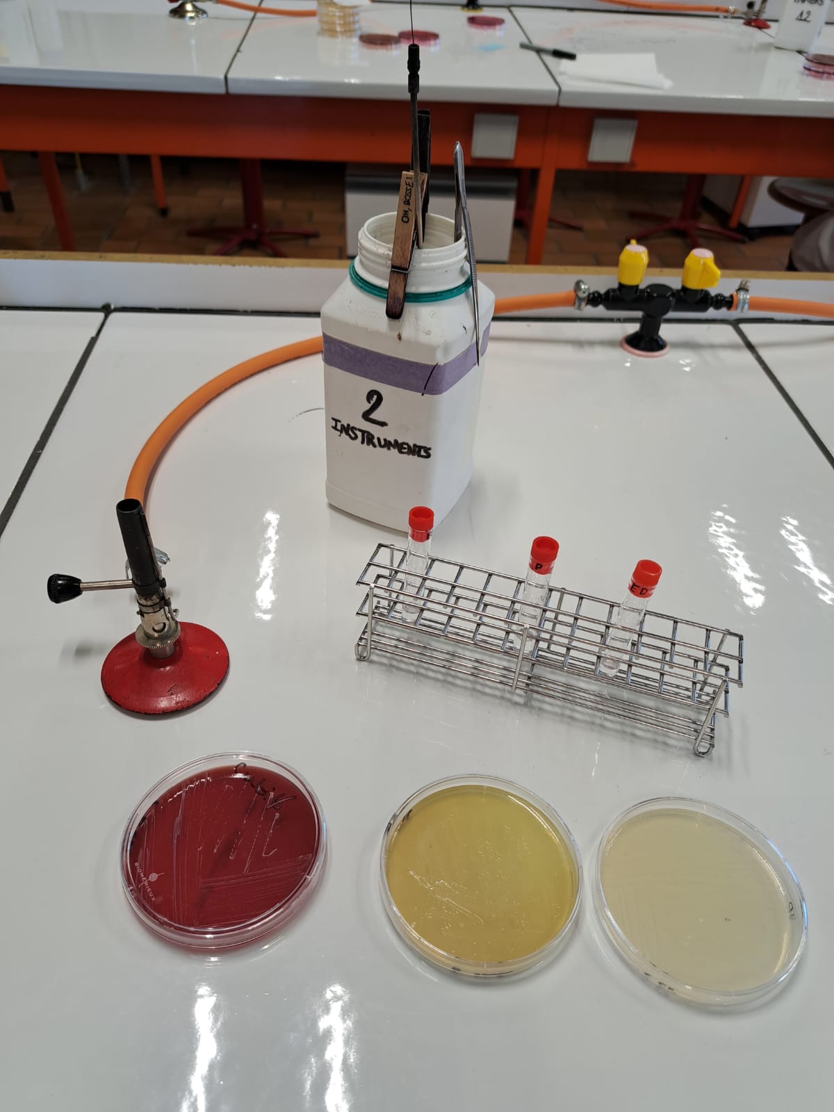 Poste de travail au laboratoire