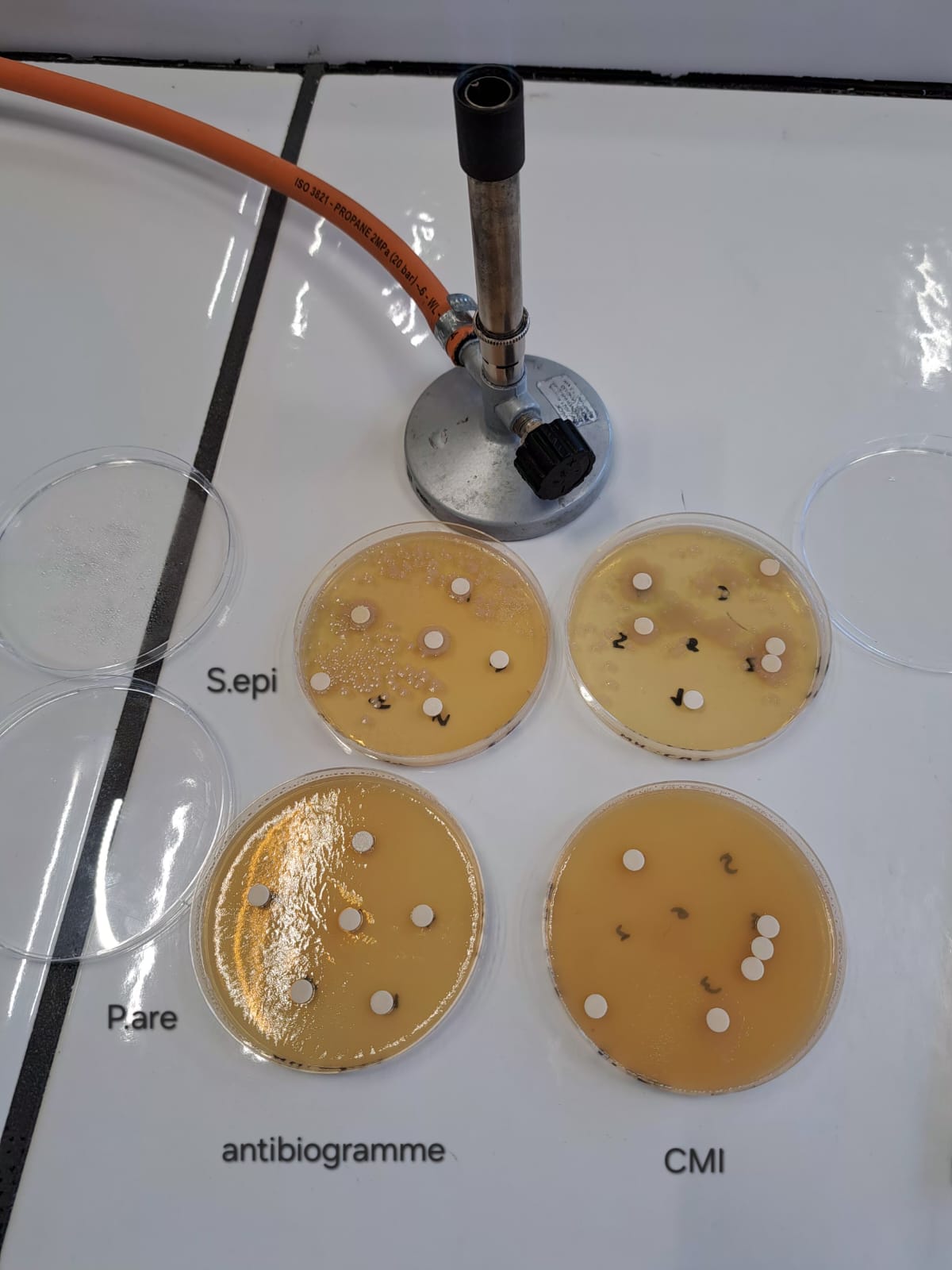 Lecture finale des résultats